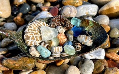 White Fossil Rocks Michigan UP Lake Superior Raw Natural Rocks and