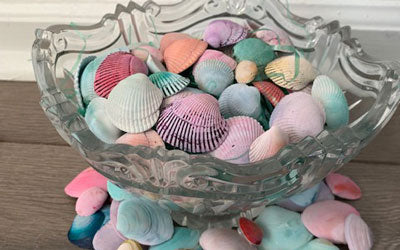 Pastel Shells – Beachcombing Magazine