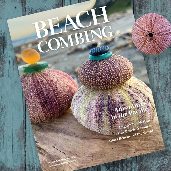 Beachcombing Volume 20: September/October 2020 – Beachcombing Magazine