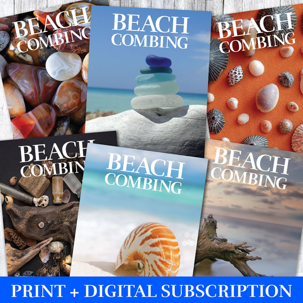 Bubble Shells – Beachcombing Magazine