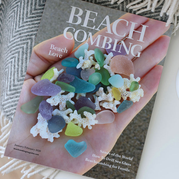 Is that scallop shell broken? – Beachcombing Magazine