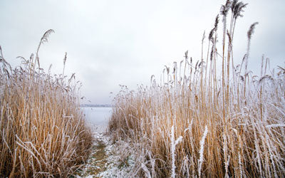 The Thrill of the Winter Hunt