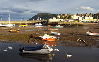 Beachcombing in Ireland