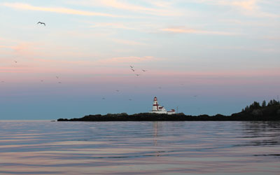 Beachcombing Destination: Campobello Island