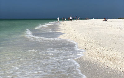 Keewaydin Island: Pristine, Tranquil, and Lots of Shells