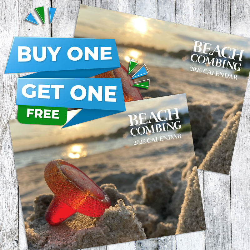 Beachcombing 2025 Calendar - BOGO