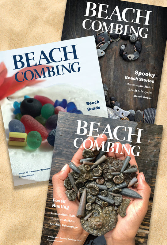 I'd Rather Be Beachcombing Reusable Water Bottle – Beachcombing Magazine