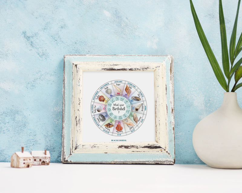 Birth Shell Chart - Square Print