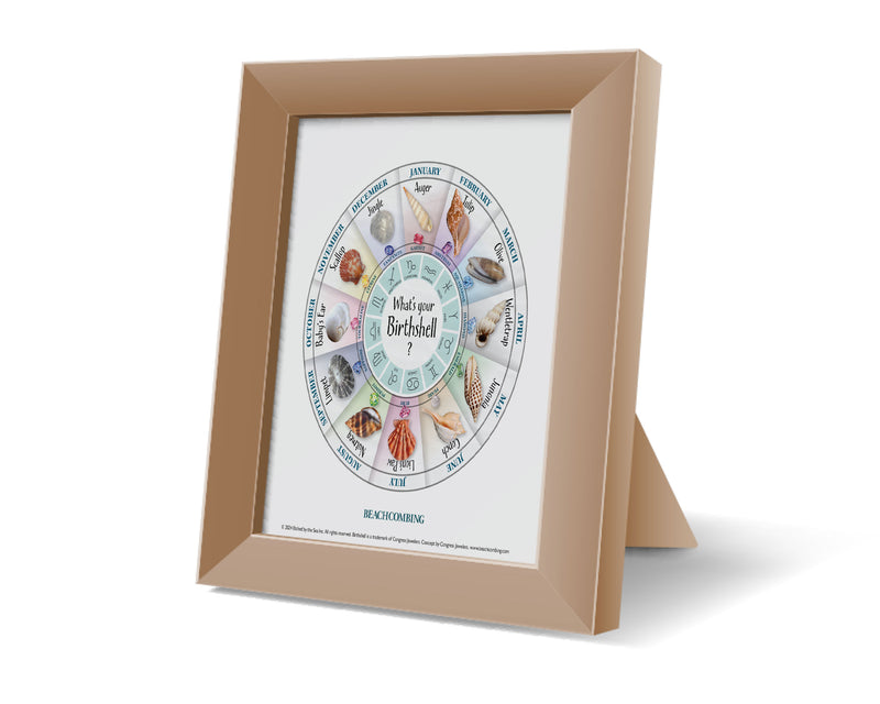 Birth Shell Chart - Square Print