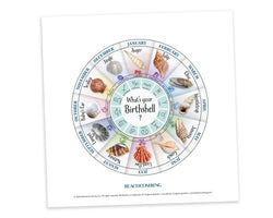 Birth Shell Chart - Square Print