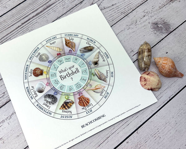 Birth Shell Chart - Square Print