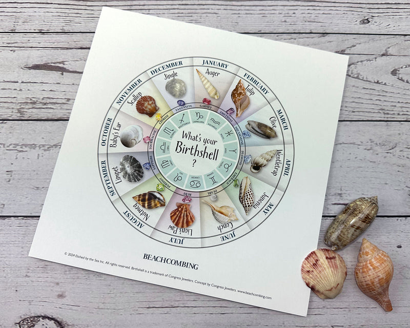 Birth Shell Chart - Square Print