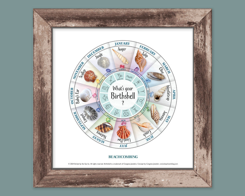 Birth Shell Chart - Square Print