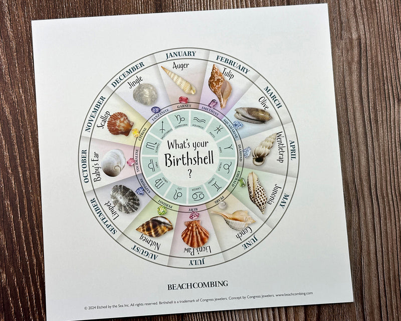 Birth Shell Chart - Square Print