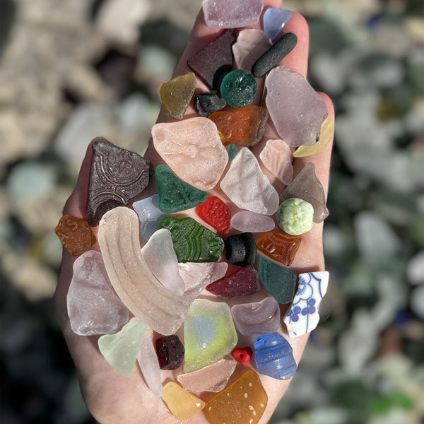 Beachcombing Volume 46: January/February 2025