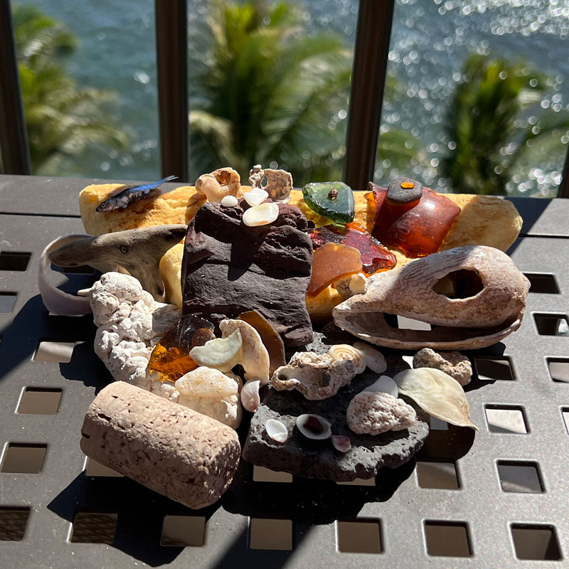 Beachcombing Volume 48: May/June 2025