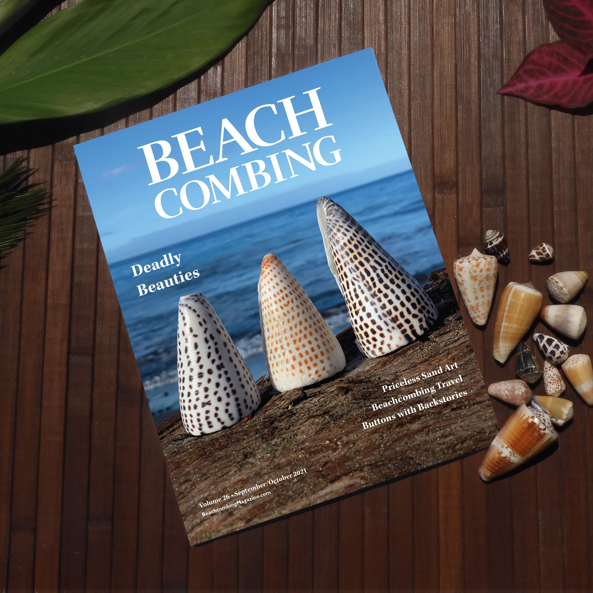 Beachcombing Volume 26: September/October 2021 – Beachcombing Magazine