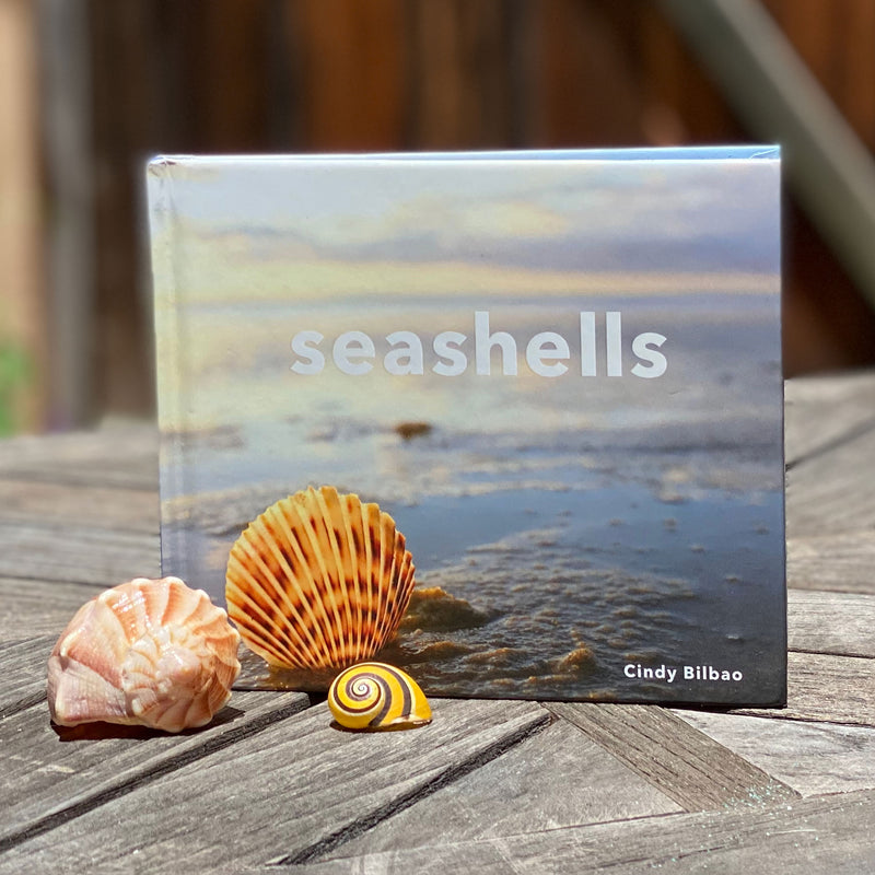 https://www.beachcombingmagazine.com/cdn/shop/products/seashells-outdoor-table-s_800x.jpg?v=1668008211